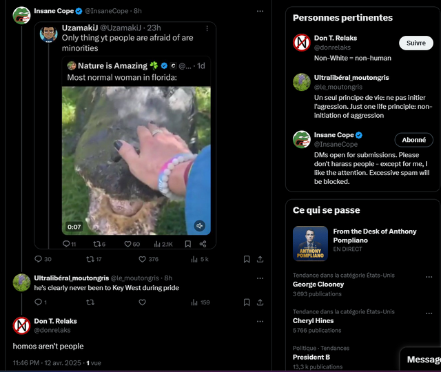 Capture d’écran 2025-04-13 044333.png