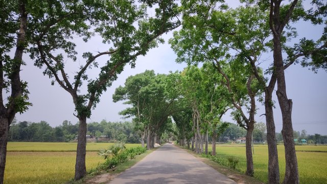 IMG_20250502_091613.jpg