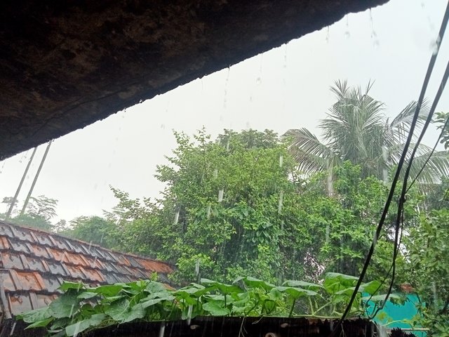 IMG20250707120010.jpg