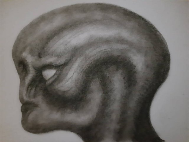 20250807_112347.jpg