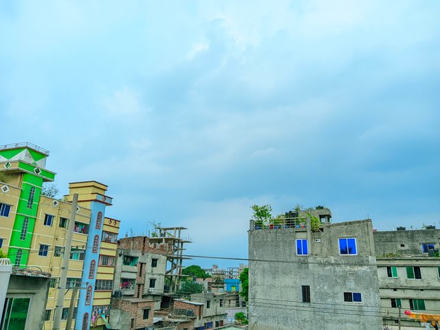 1000041058.jpg