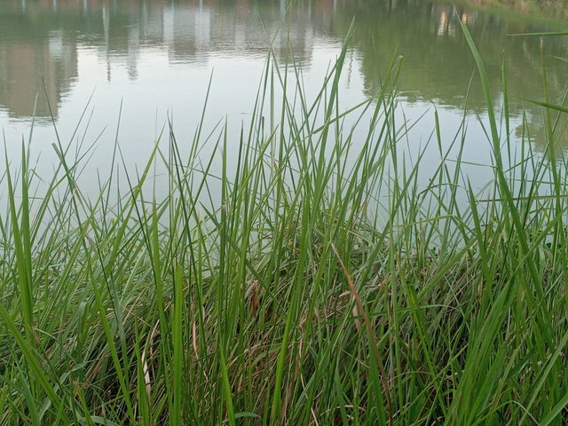 20220713_181948.jpg