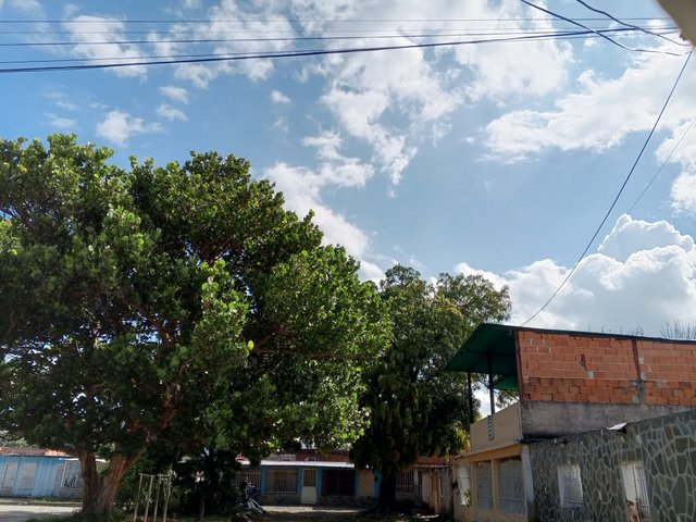 IMG_20251001_092120_062.jpg