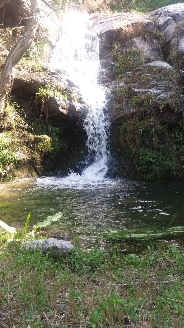 20190305_124515.jpg