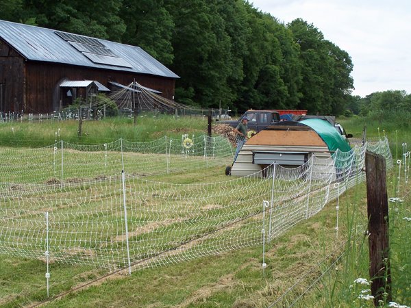 Pasture coop ready4 crop June 2019.jpg