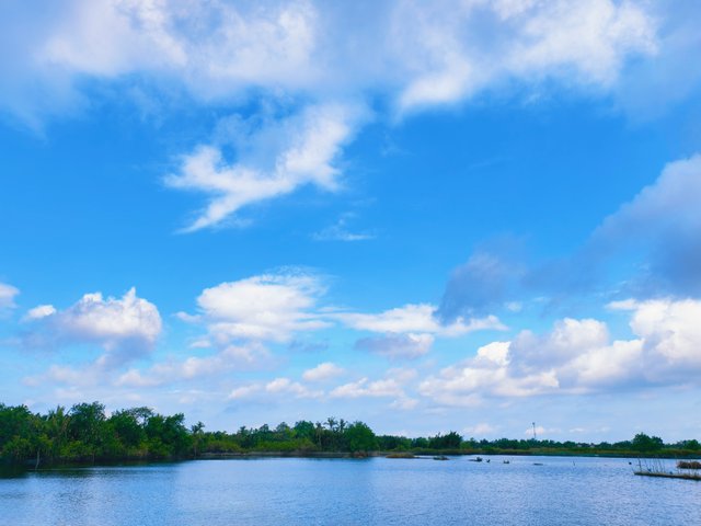 IMG_20250608_084653.jpg