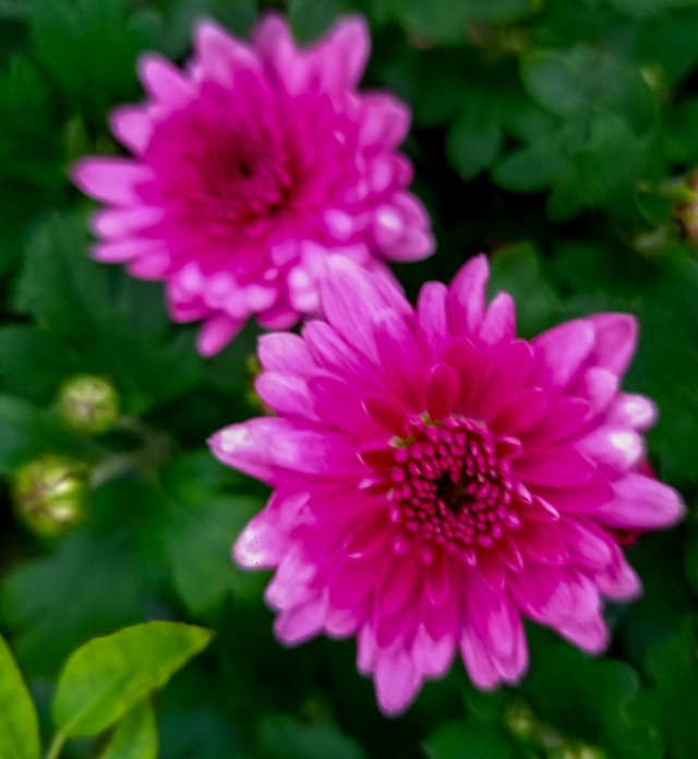 IMG20250105172304.jpg