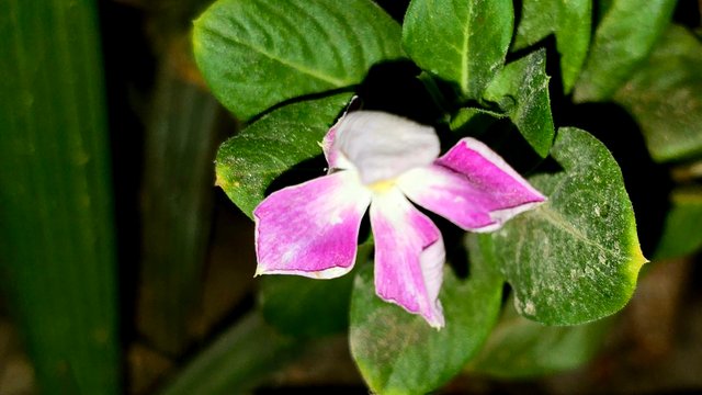 20250706_021851.jpg