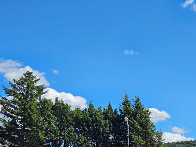 20250905_135637.jpg