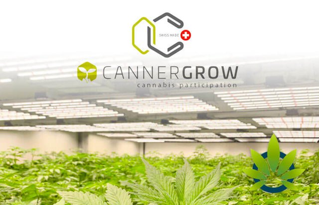 cannerald-erfahrungen-cannerald-test-cannerald-cannabis-investment-cannergrow-cannermed-cannerrec-farm.jpg