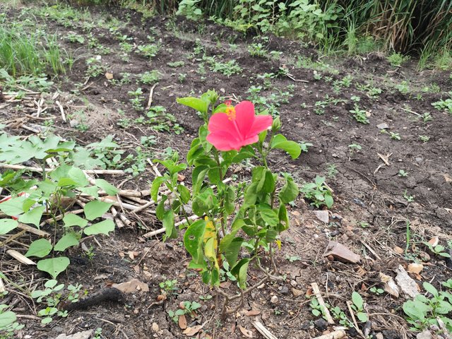 IMG_20250720_201743.