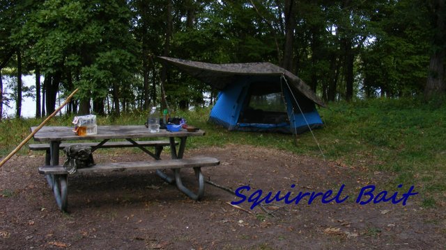 Day 1 Solo Camping TN.jpg