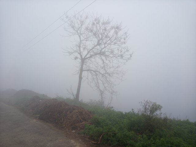 20220206_081823.jpg