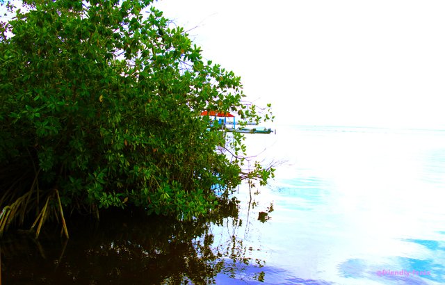 chetumal.jpg