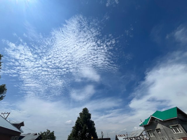 IMG_4228.jpeg