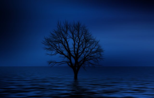 tree-738816_1920.jpg