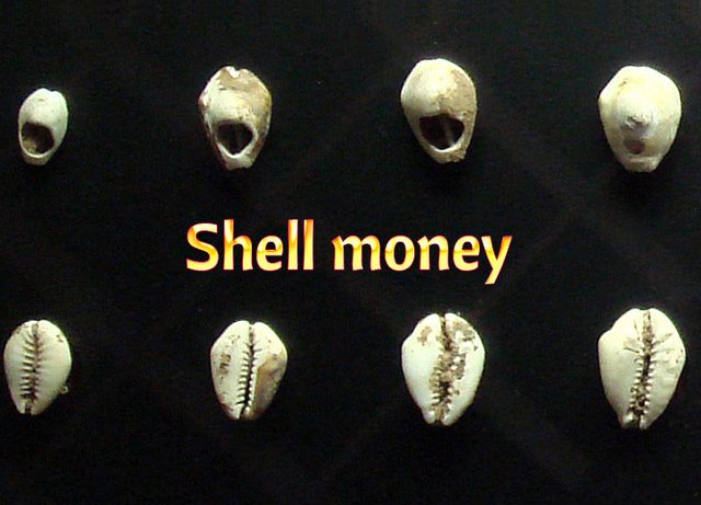 Shell-money.jpg