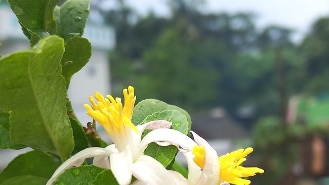 20240527_115708.jpg