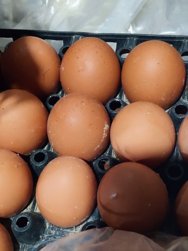1000049919.jpg