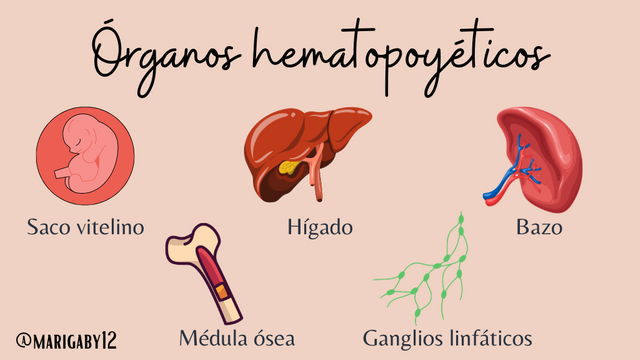 Blood groups (1024 x 576 px) (1).png