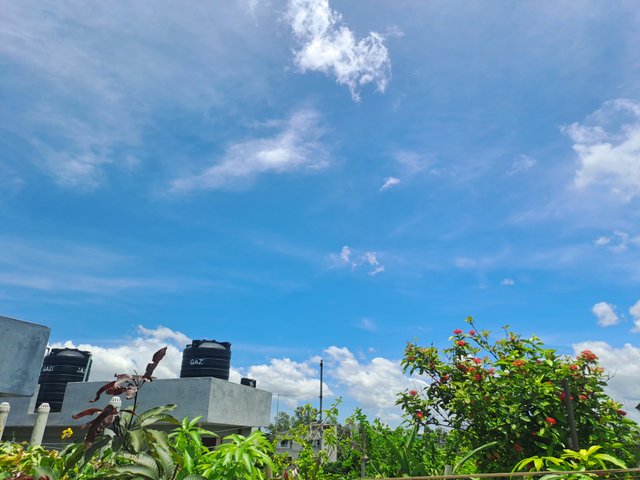 20250725_122509.jpg