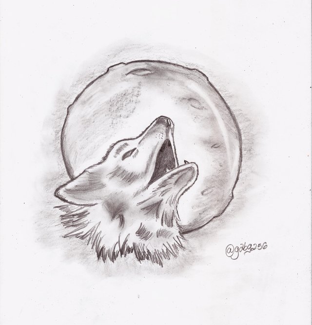 Un lápiz, una hoja y mucha imaginación. Lobo aullando a la luna (Dibujo  paso a paso). — Steemit