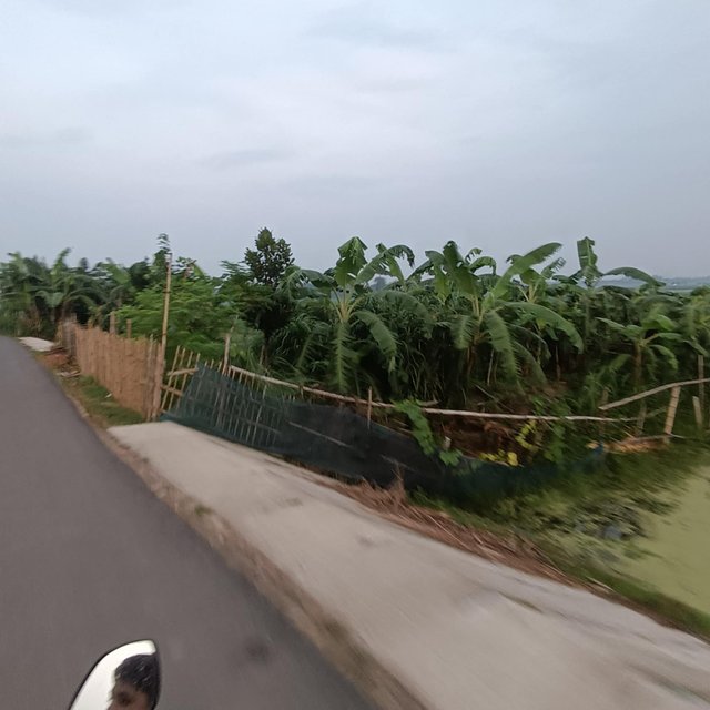 2c4ac6a1-08a1-4806-9a86-6ec0fc7788a7 (1).jpeg