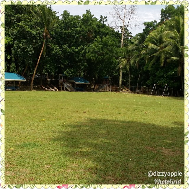 PhotoGrid_1529580364972.jpg