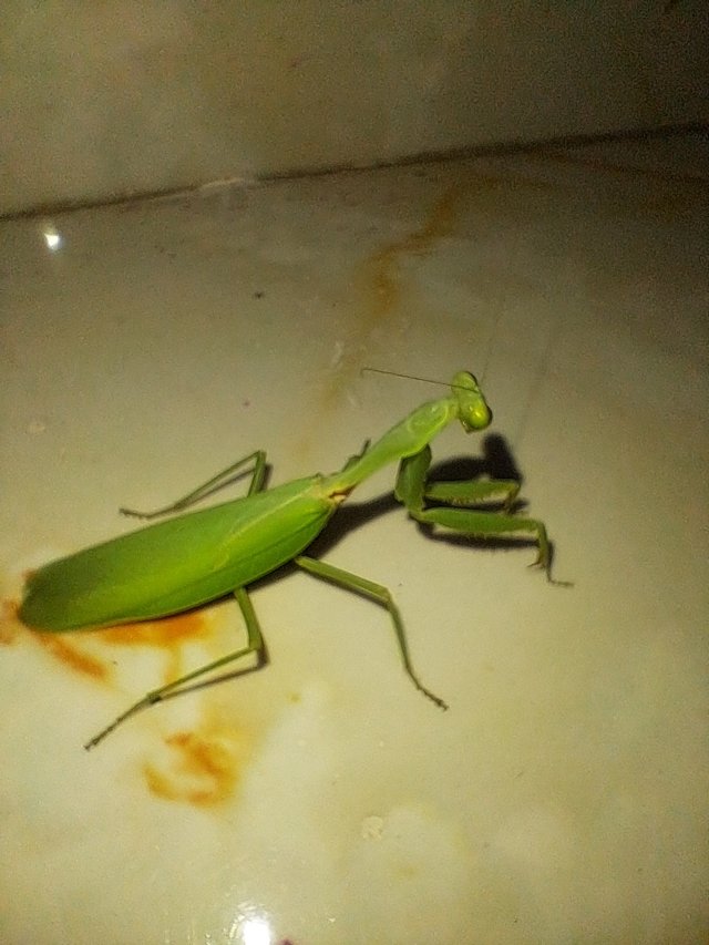 20250701_223236.jpg