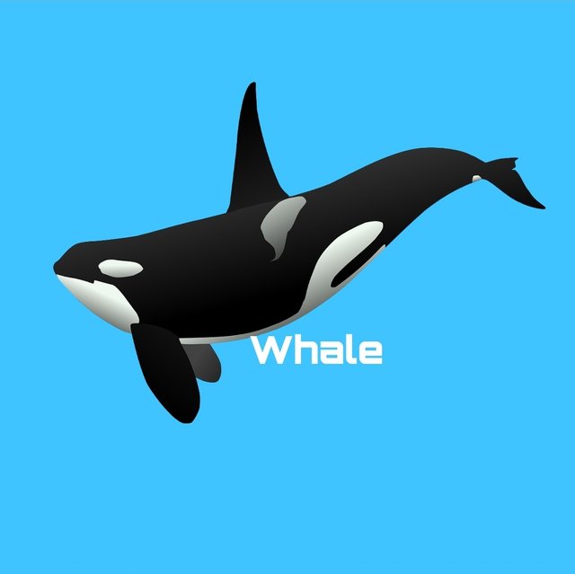 Orca.jpg