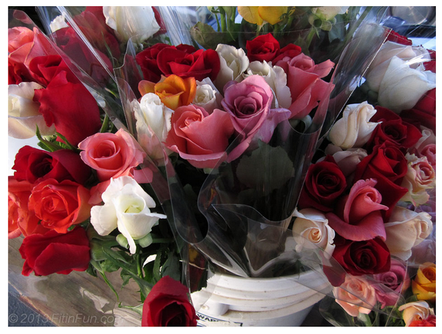 fitinfun roses for sale.PNG