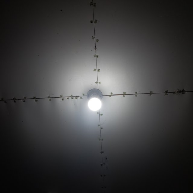 1000027842.jpg
