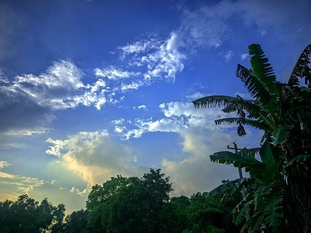 IMG_20250522_183036.jpg