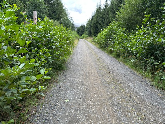 IMG_0324.jpeg