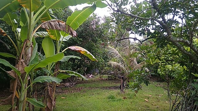 PANO_20210810_091023.jpg