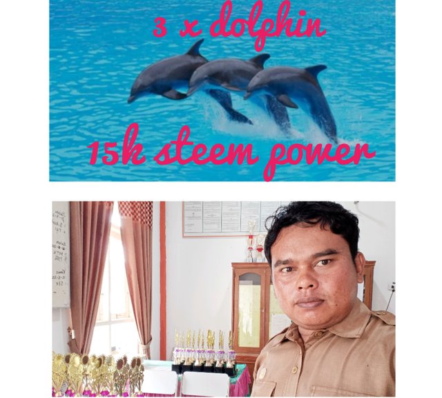 1000273785-01.jpeg