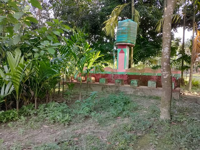 1000046097.jpg