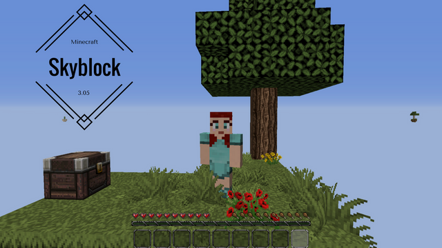 skyblock 305.png