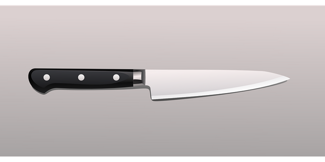 knife-1088529__480.png