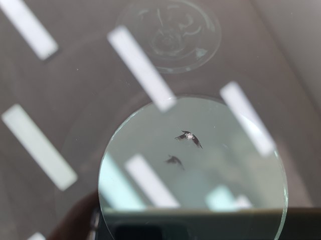 1677572455873-1.jpg
