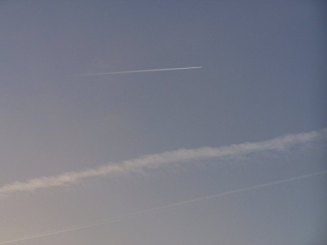 100_2090 1412 steemit.JPG