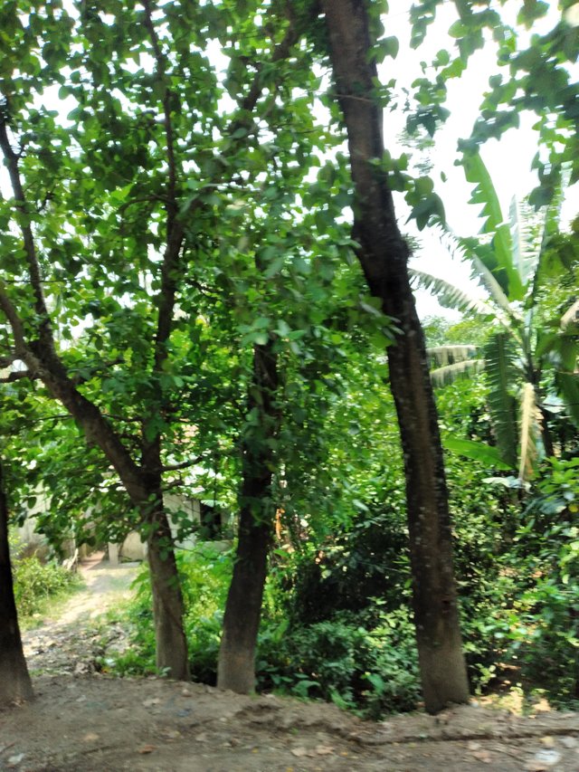 20250609_113016.jpg