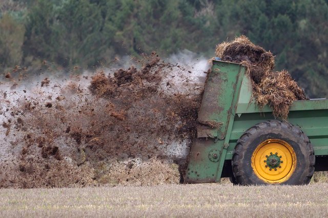 manure-6135606_1280.jpg