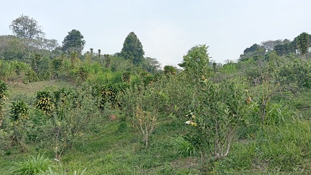 IMG20250727163505.jpg