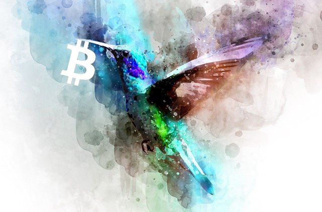 kryptonovinky-a-Bitcoin-v-zobáku-ptáka.jpg
