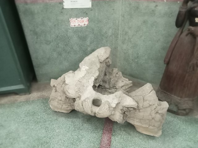 1000029092.jpg