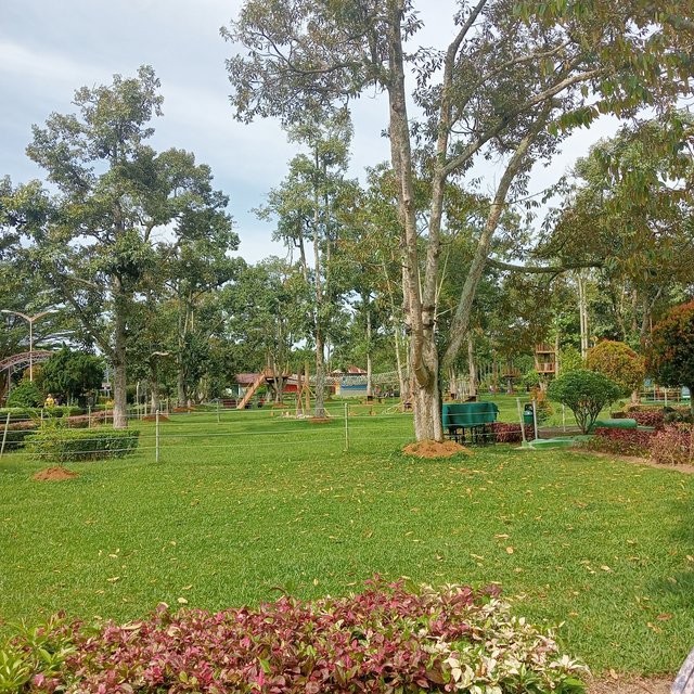IMG20250831151332.jpg