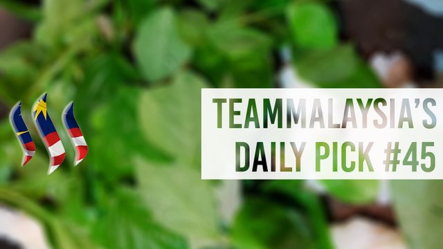 TeamMalaysia Daily Pick 2.jpg