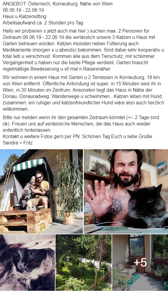 katzen 2.PNG