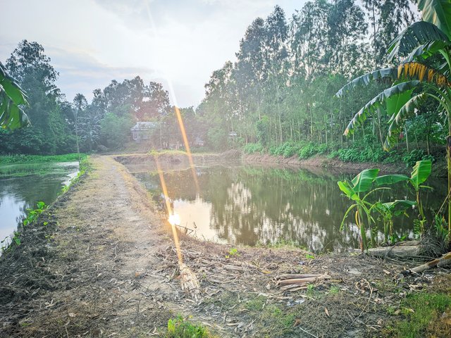 IMG_20250817_180602.jpg